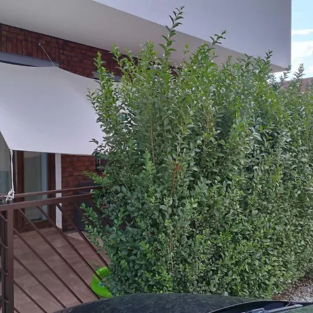 Maison De Veve Michal na Ostrove