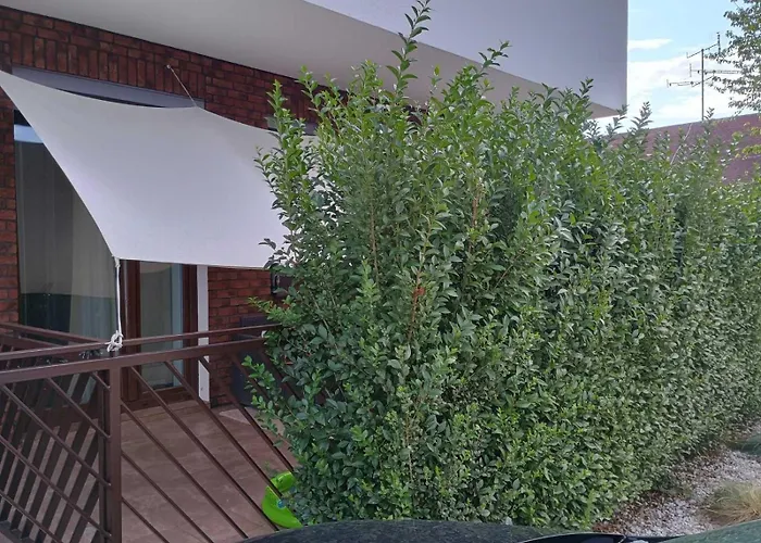 Maison De Veve Michal na Ostrove